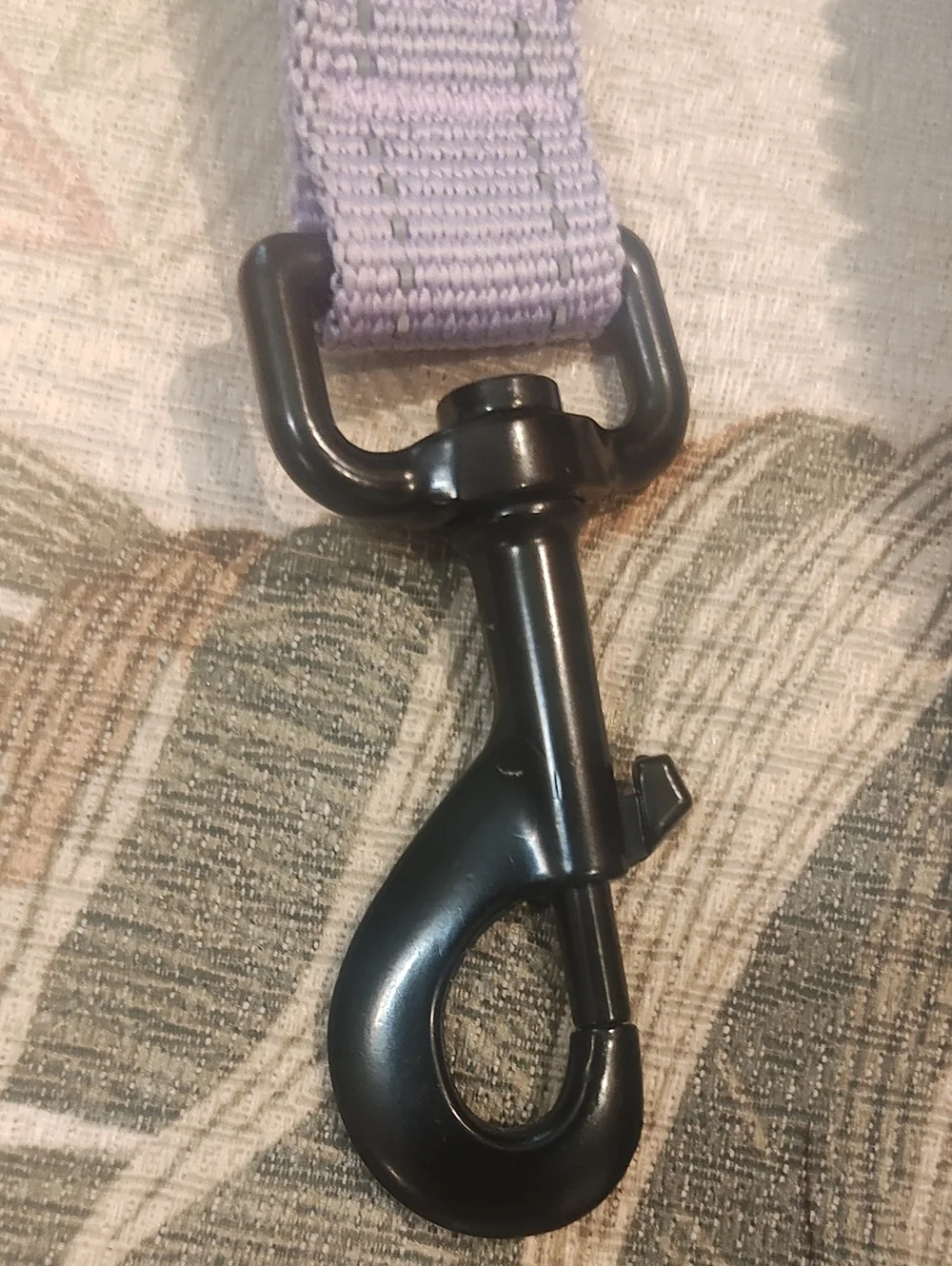 PETS: DOG LEASH - STRETCHY